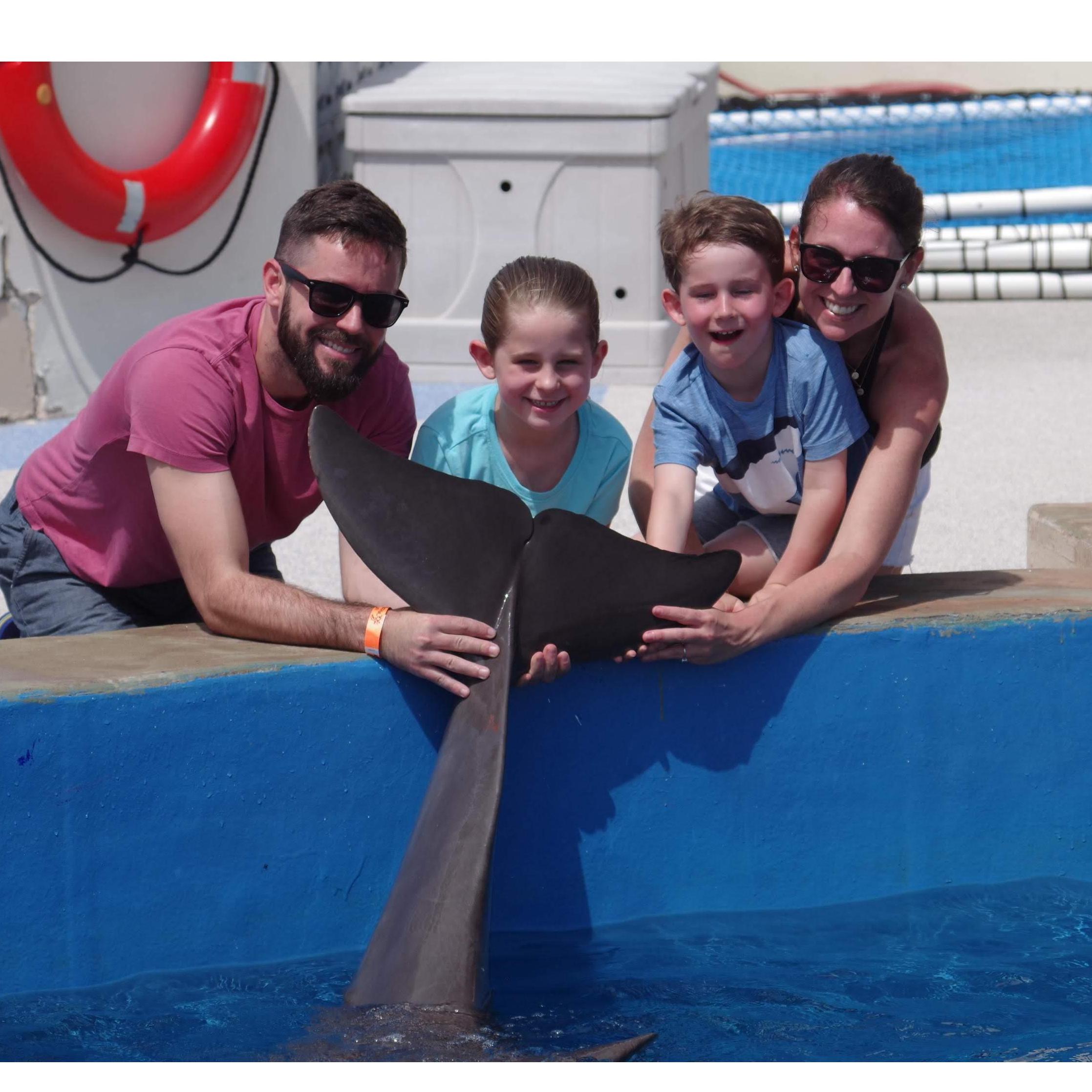 This is NOT Sea World