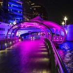 Tampa Riverwalk