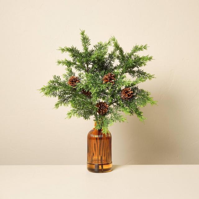 22" Cedar and Pinecones in Ribbed Amber Vase Artificial Arrangement - Hearth & Hand™ with Magnolia