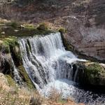Bob Bear Trail *Currently Closed*