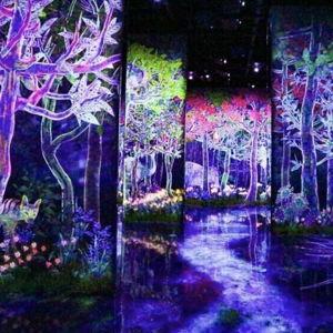 Teamlab Planets