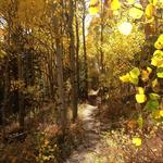 Golden Gate Canyon State Park