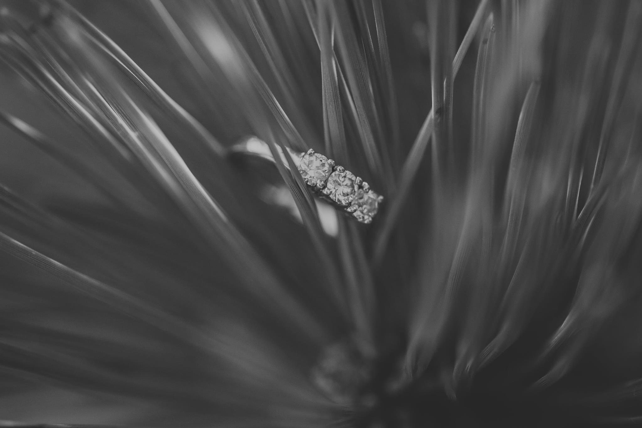 The Wedding Website of Danielle Ostwalt and Clint Willis