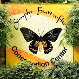 Simply Butterflies Conservation Center
