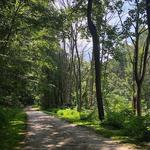 Torrey C. Brown Rail Trail