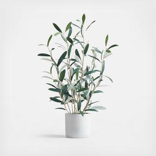 Potted Faux Olive Tree