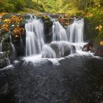 Sweet Creek Falls Trailhead