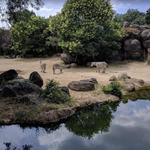 The Maryland Zoo in Baltimore