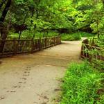 Cherokee Park Scenic Loop