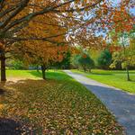 Green Hill Park