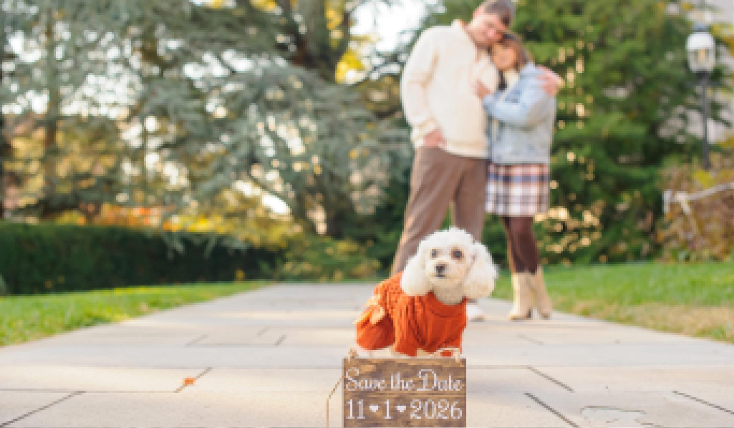 Footer image