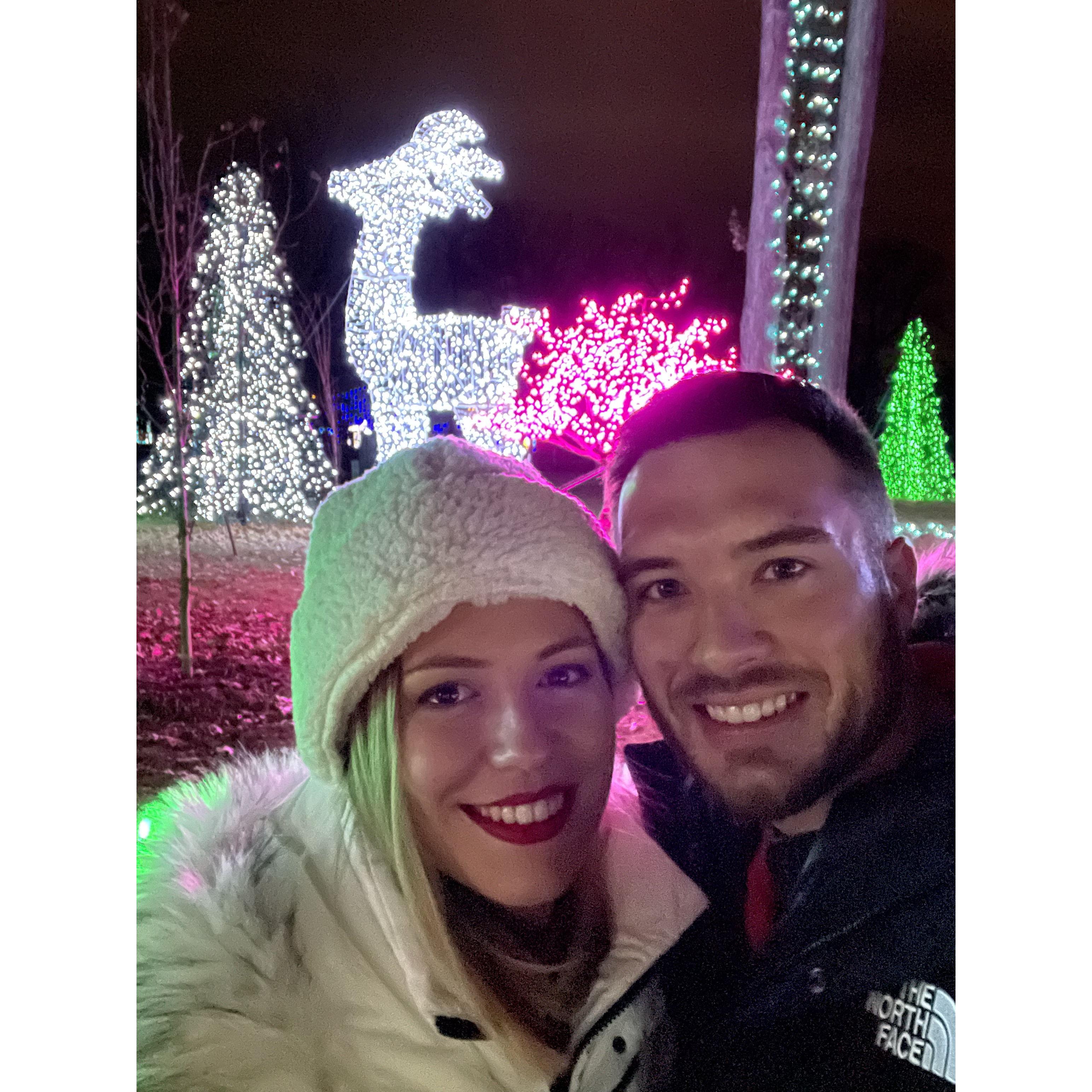 Our first time visiting the Detroit Zoo's Wildlights!