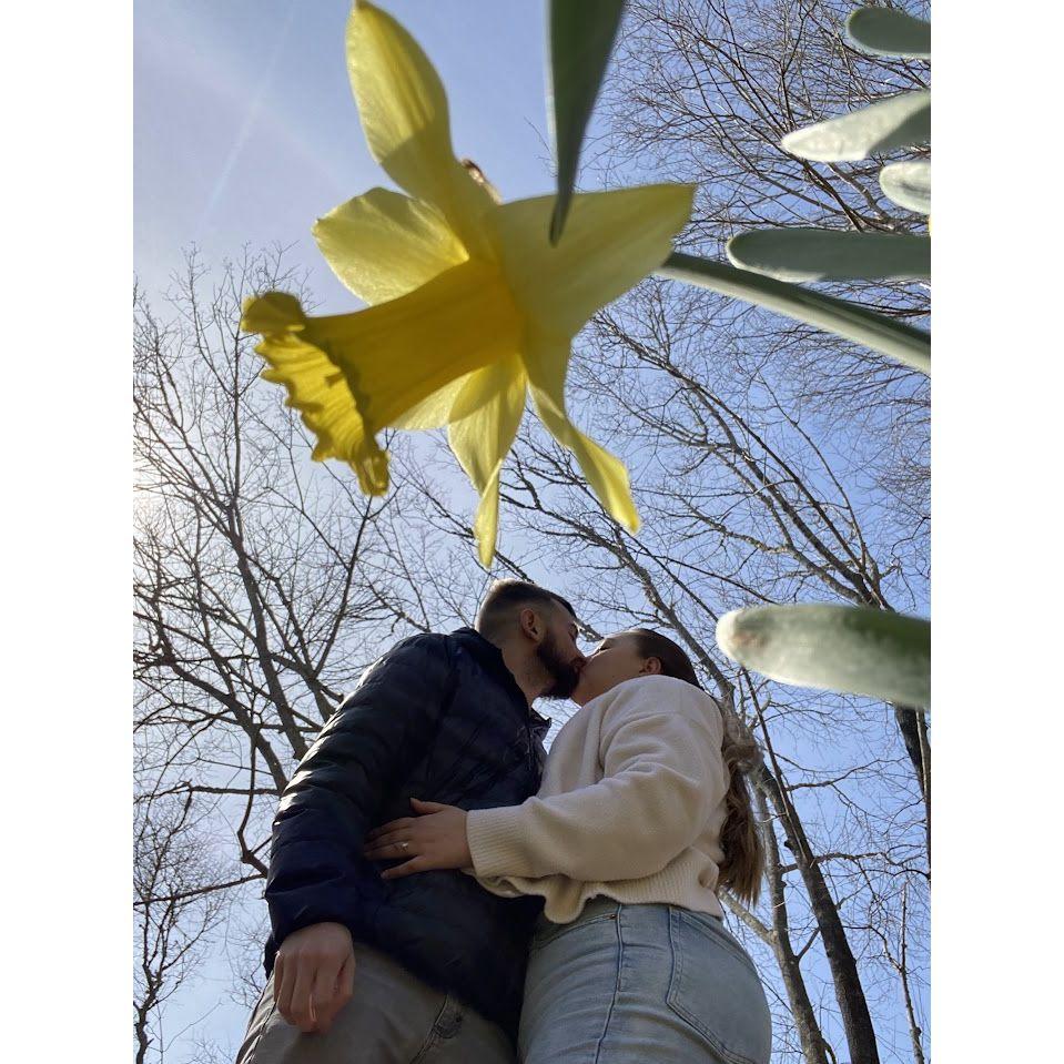 Celebrating spring and seeing the daffodil fields - April 2023
