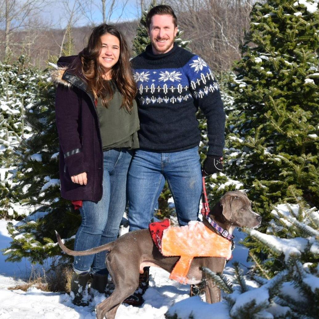That time we tried to take Christmas photos, but never got around to sending out cards...