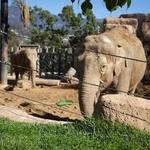 Santa Barbara Zoo