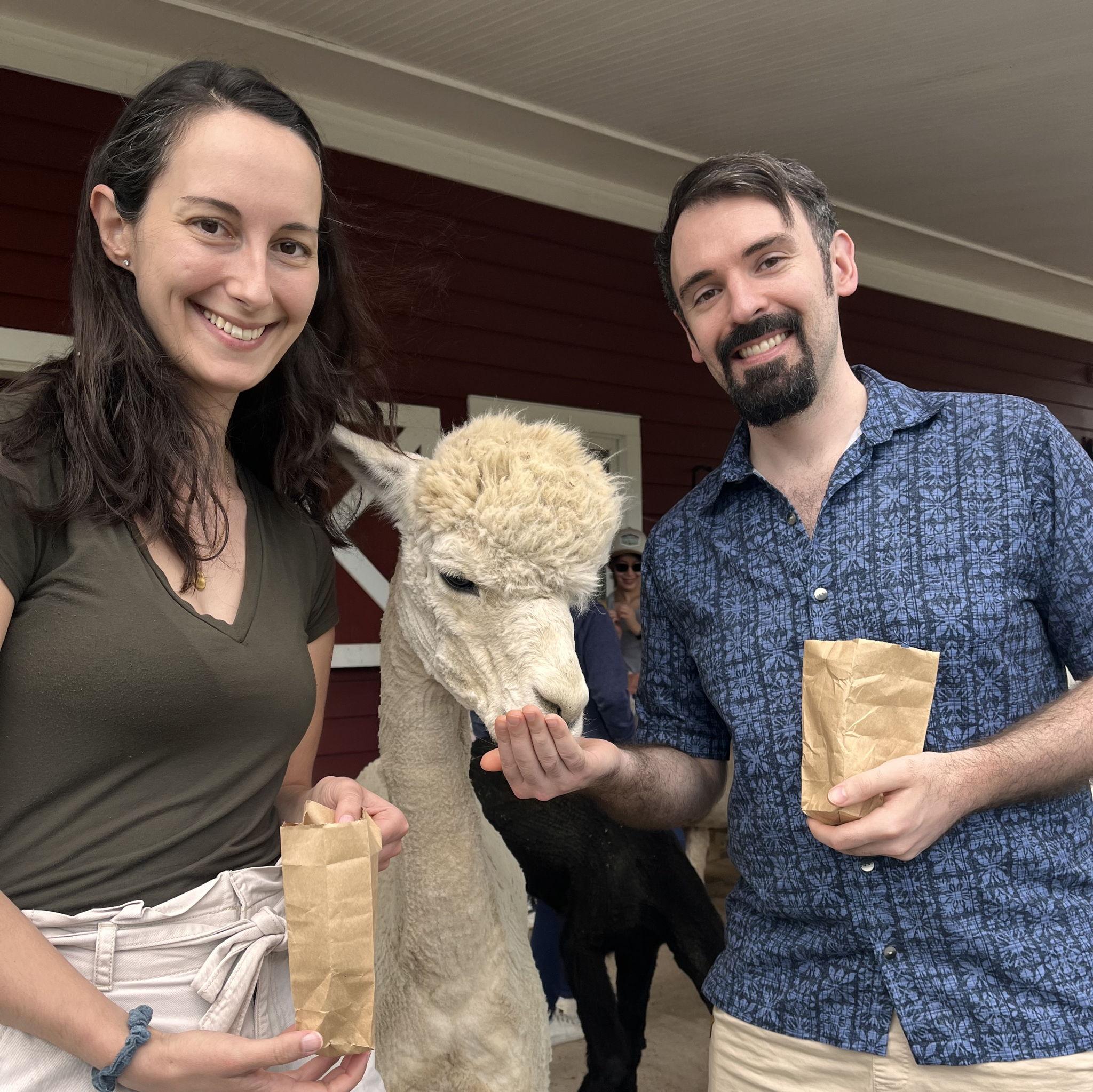 Visiting our local alpaca farm