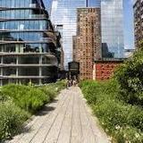 The High Line