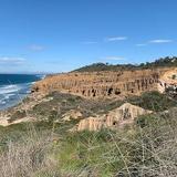 Torrey Pines State Natural Reserve