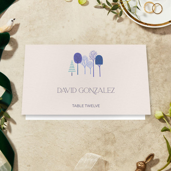 Zola Wedding Place Cards - Frozen