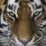 Seneca Park Zoo