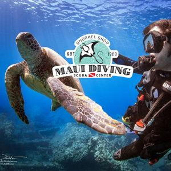 Dive Tour
