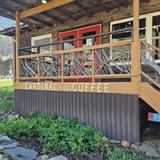 Coffee shop - Cardinal Coffee