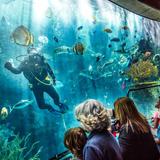 Aquarium of the Pacific