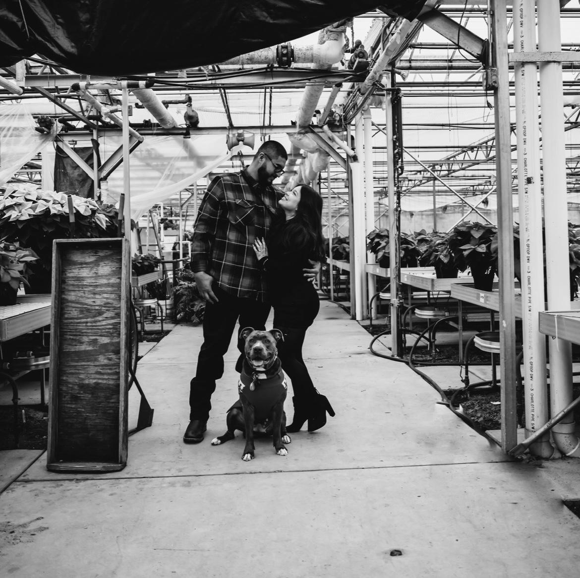 The Wedding Website of Selena Renteria and Mykol Dieppa