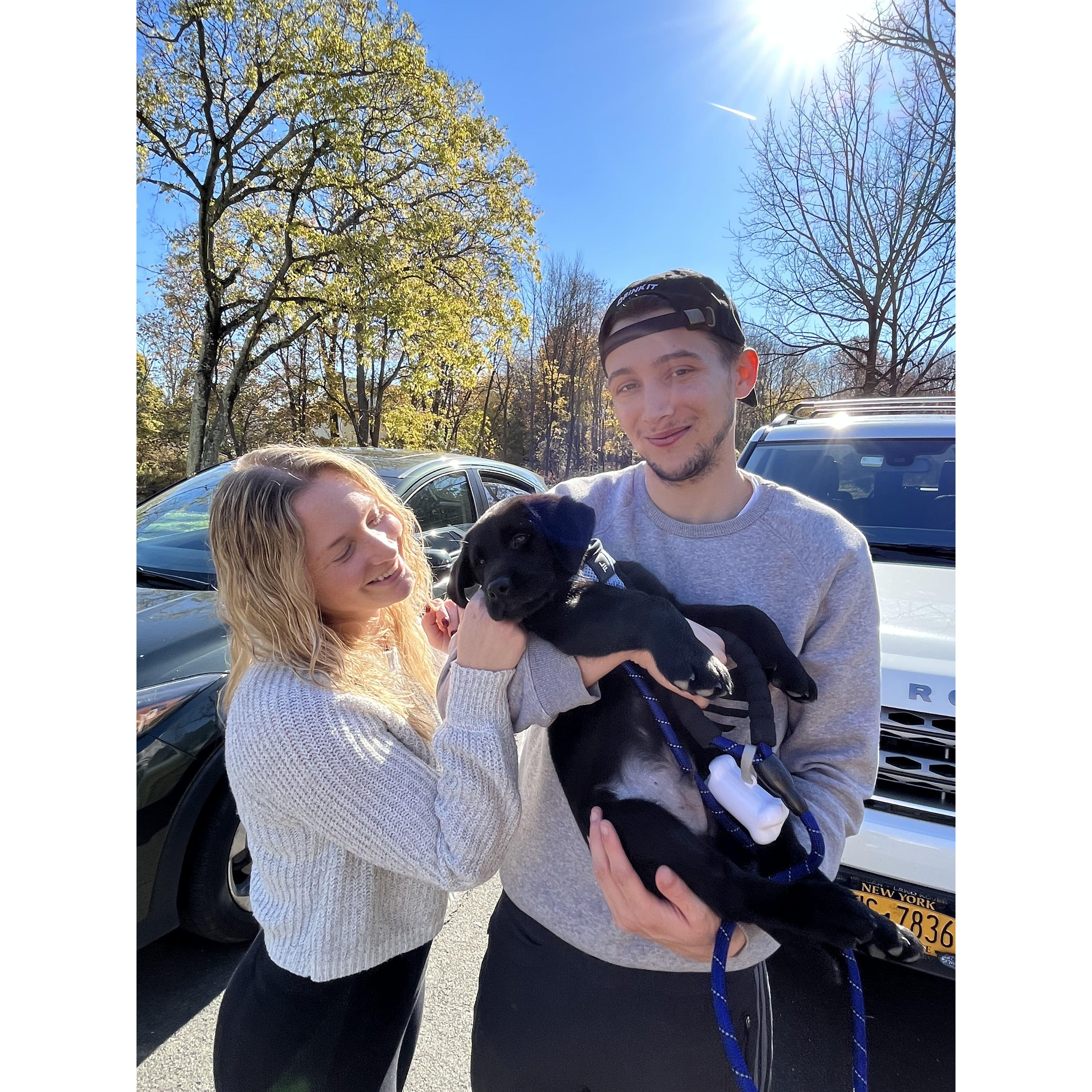 we got our first fur baby, Onix! October 2022