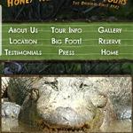 Honey Island Swamp Tours