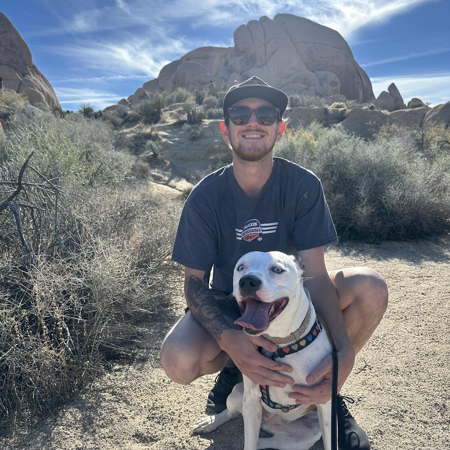 Our dog Winnie in Joshua Tree!