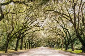 The Wedding Website of Dayna Mercer and Matthew Mansuy