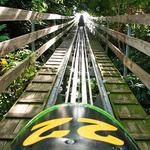 Mystic Mountain, Rainforest Adventures