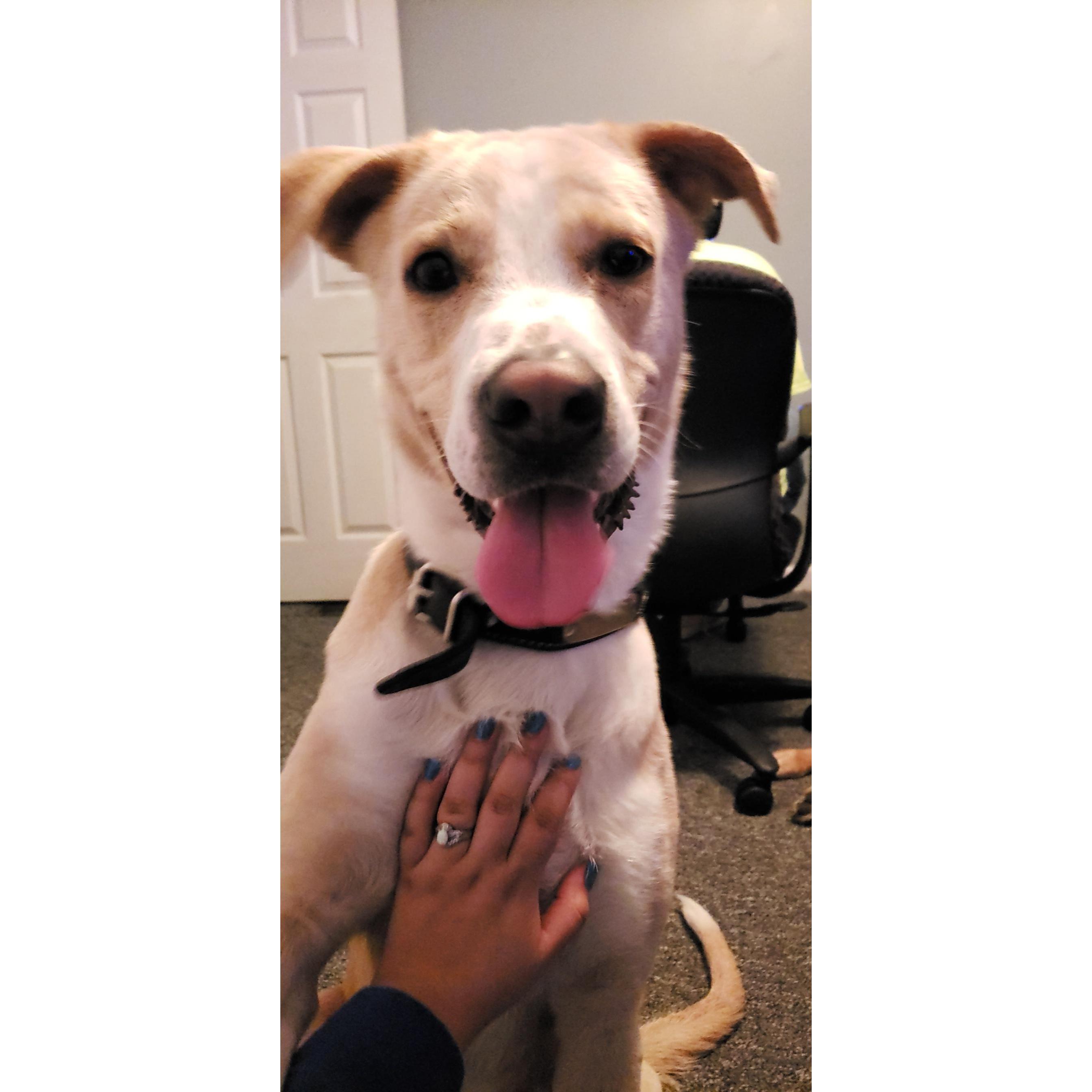 Our biggest supporter, Blaze "B".