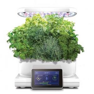 Miracle-Gro AeroGarden Harvest Touch White