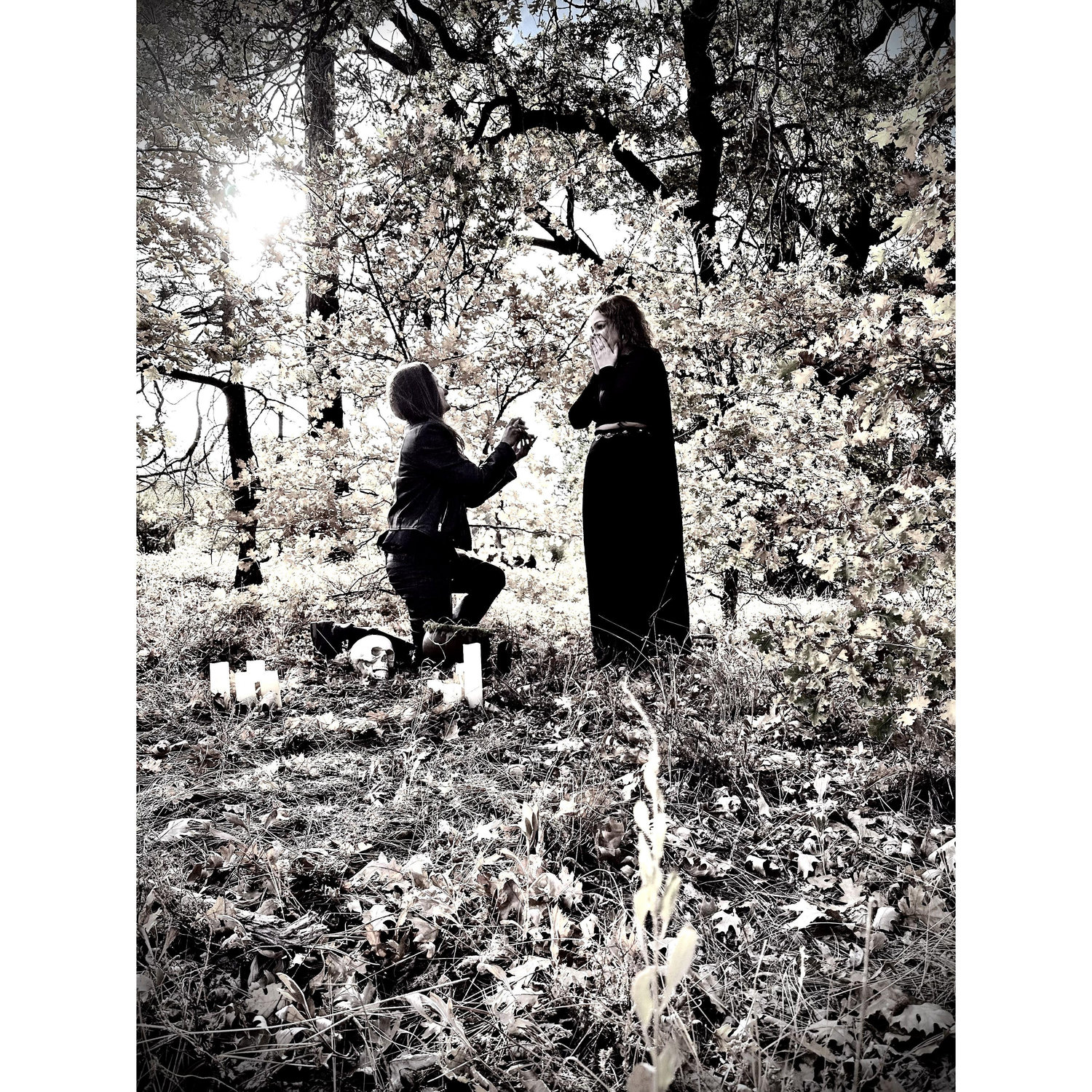 The Proposal