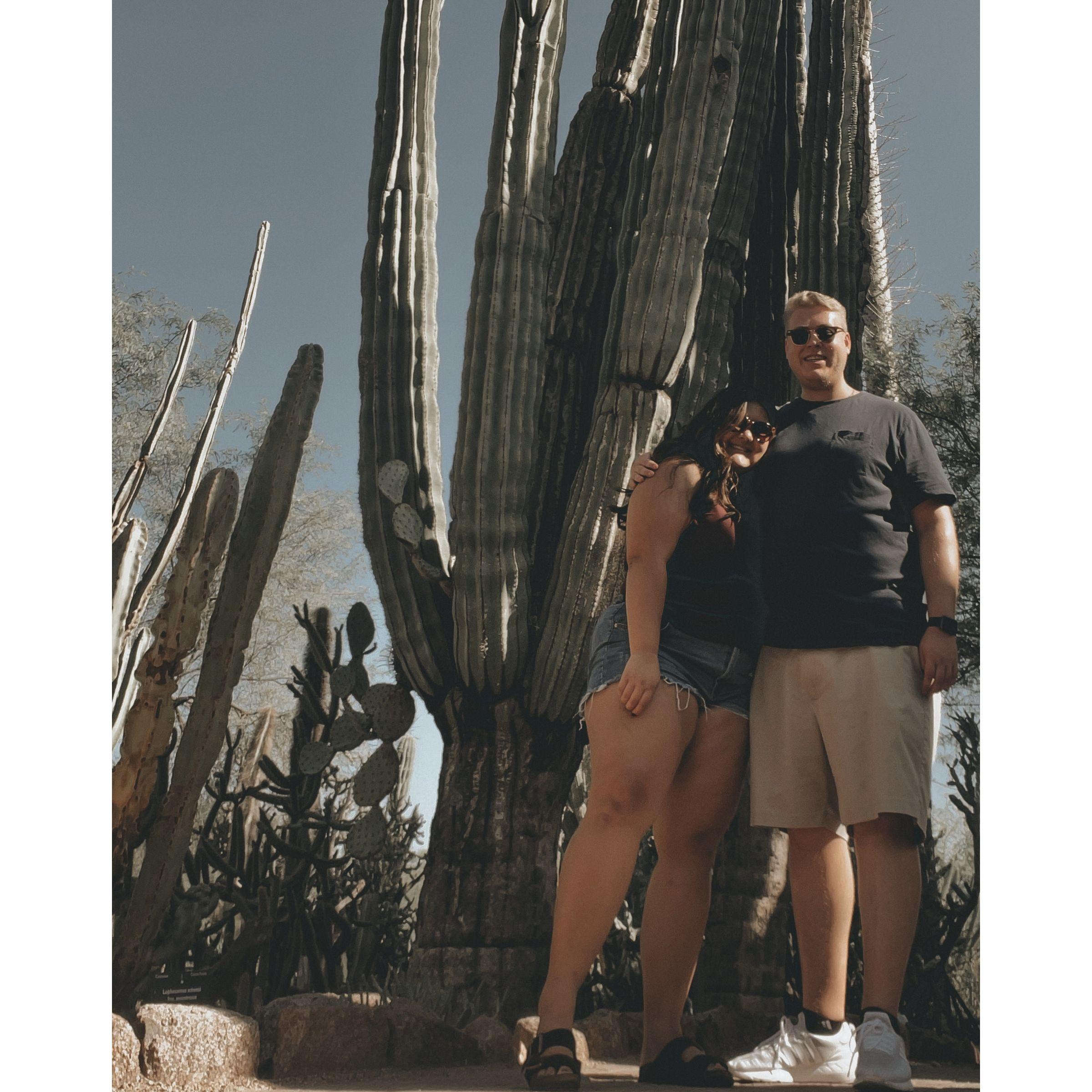 One of Grayson and Ally's first dates and the Desert Botanical Gardens in Phoenix, AZ.