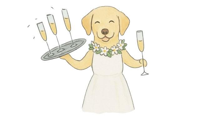The Wedding Website of Kelly-Ann Wylie and David Gagné
