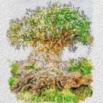 Animal Kingdom Theme Park