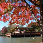 E.C. Hafer Park