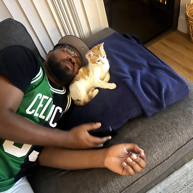 Our New Kitten