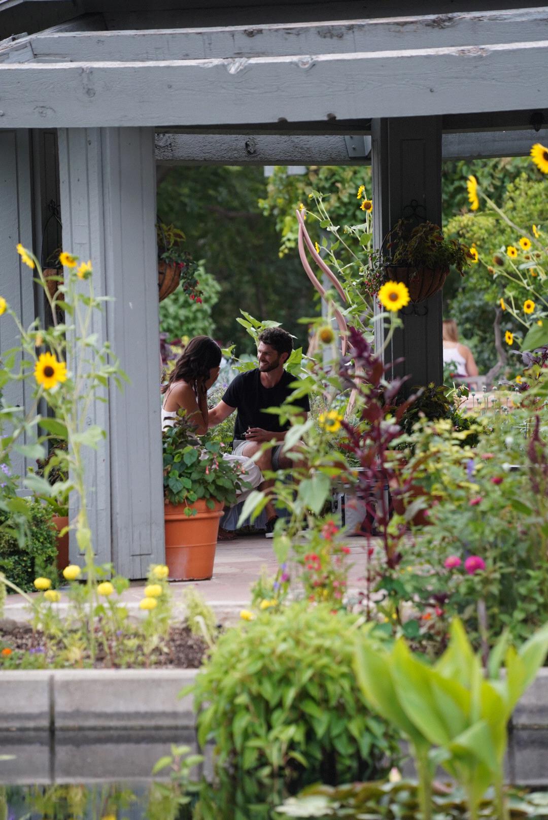 Our very good (and sneaky) friend, Iris, was in on Mark's plan and captured these photos from the bushes.