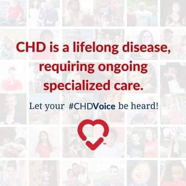 Our Favorite Charity