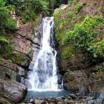 El Yunque National Forest
