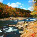 Ohiopyle State Park
