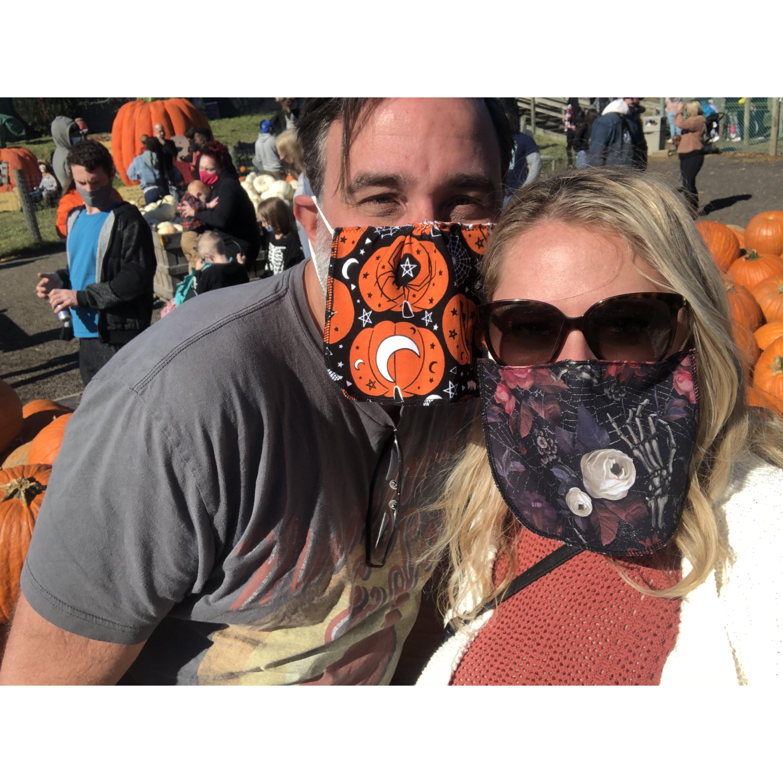2020 Pumpkin Patch