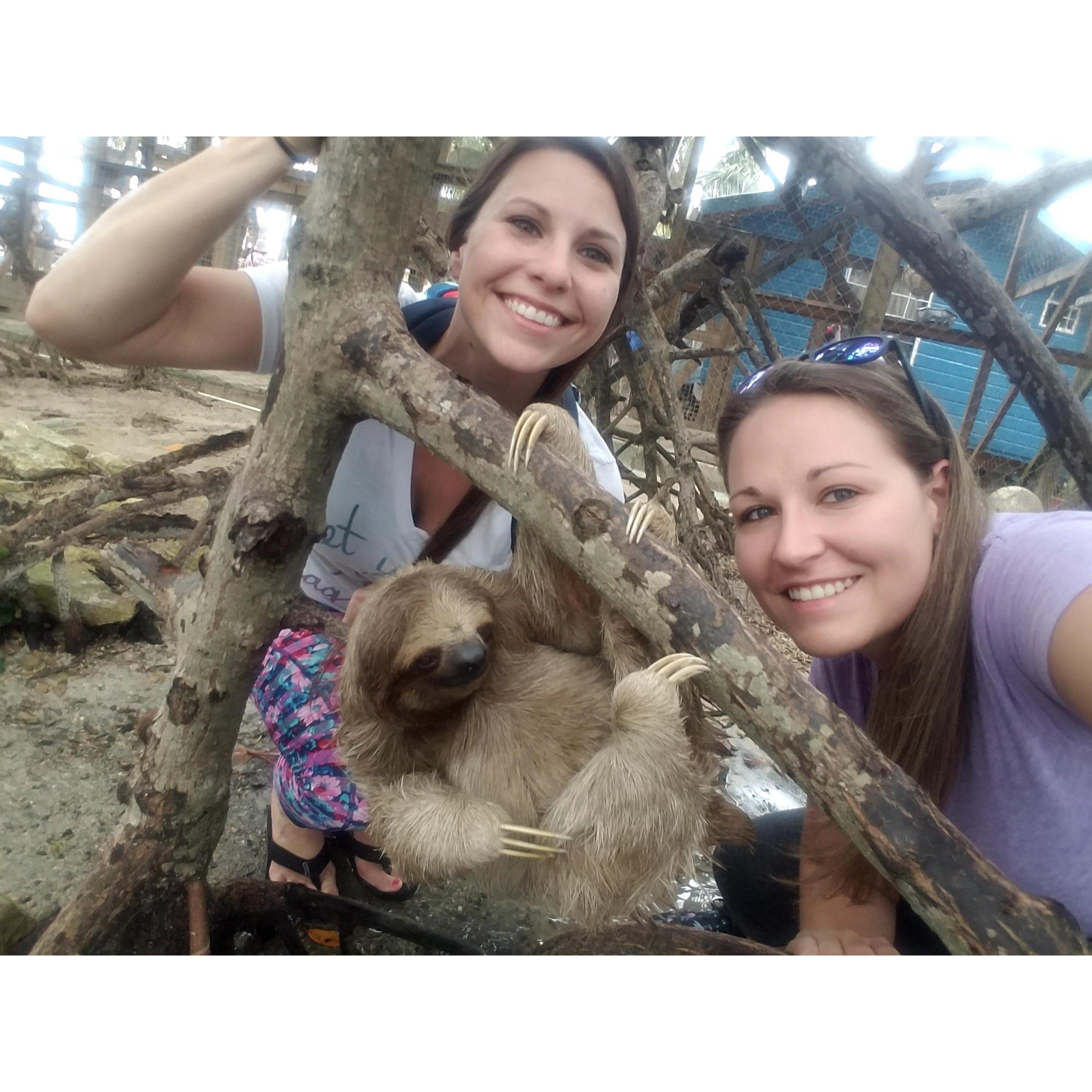 Sloth mode activate!