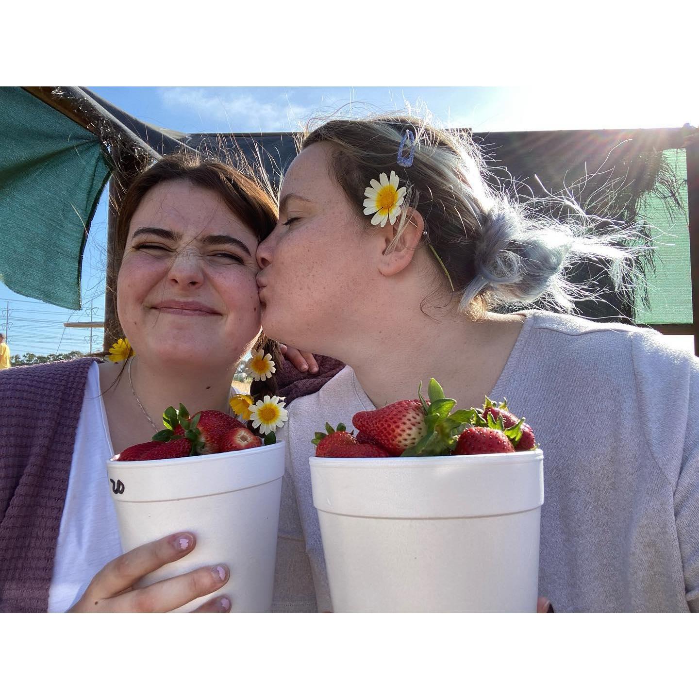 Strawberry picking in Carlsbad