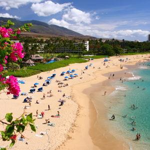 Hawaii Honeymoon