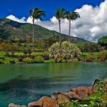 Maui Tropical Plantation